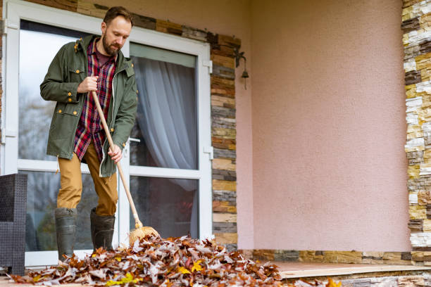 Best Trash Removal Near Me  in Swissvale, PA
